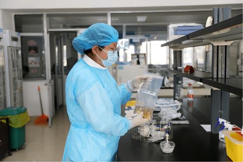 练技术 赛技能,强素质 保健康 中国梦 劳动美 全区疾病预防控制技能竞赛开赛