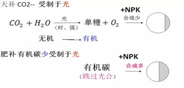 全效营养 线虫防治,瑞丰生态重磅推出1号战雕系列产品,吹响土壤健康修护号角