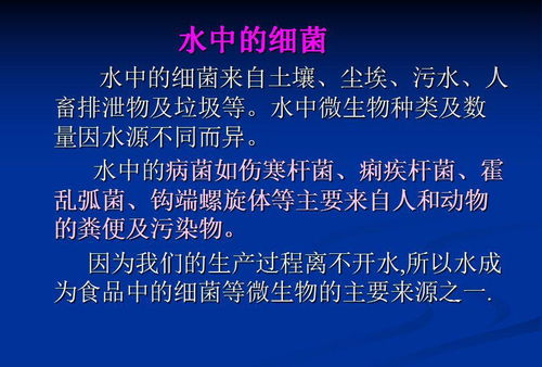 微生物在食品中的危害及防治